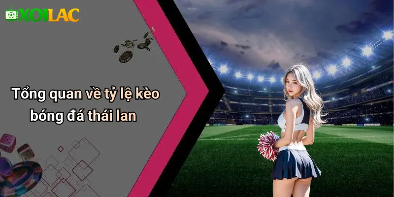 Cách Đọc Kèo Bóng Đá Theo Tỷ Lệ Thái Lan: Bí Kíp Soi Kèo 1 Tổng quan về tỷ lệ kèo bóng đá thái lan