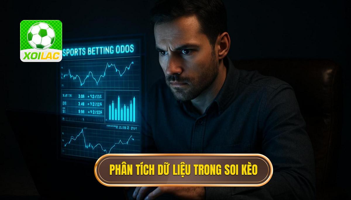Phân tích dữ liệu định lượng và định tính trong soi kèo