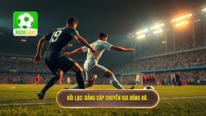 Xôi Lạc_ Đẳng cấp chuyên gia bóng đá.