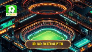 Hướng dẫn soi kèo Cúp C1 tại Cà Khịa chi tiết và hiệu quả nhất