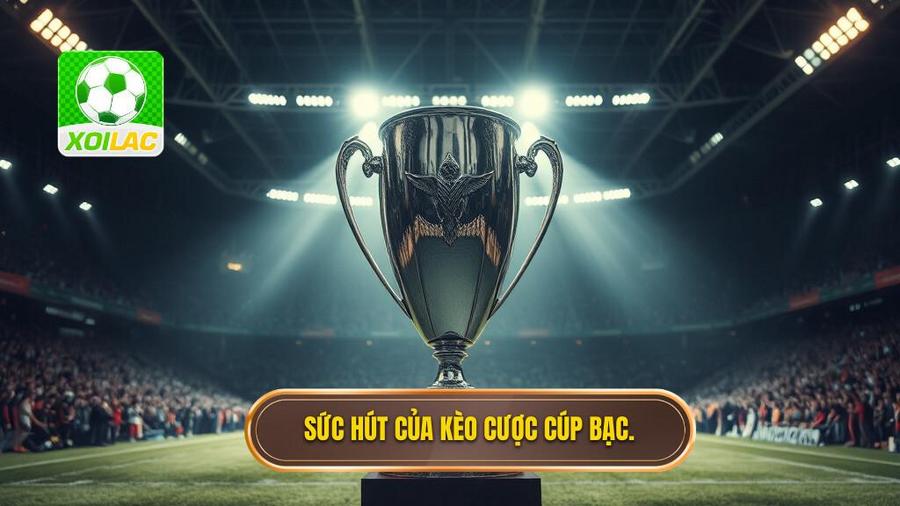 Tại sao kèo cược đội giành cúp bạc luôn thu hút giới mộ điệu?