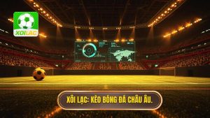 Cách đọc kèo bóng đá châu Âu chuẩn xác nhất cho người mới 2024
