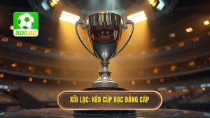 Kèo cược đội giành cúp bạc: Kinh nghiệm soi kèo từ chuyên gia