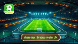 trực tiếp world cup
